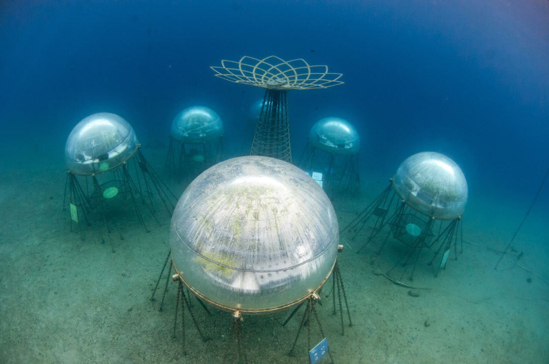 Orto di Nemo: un progetto ecosostenibile tutto italiano